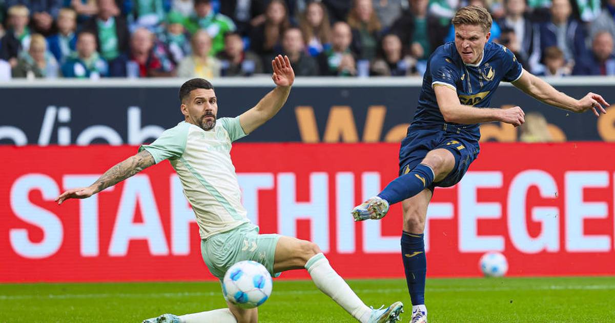 Bundesliga heute: Bremen – Hoffenheim LIVE im TV, Liveticker…