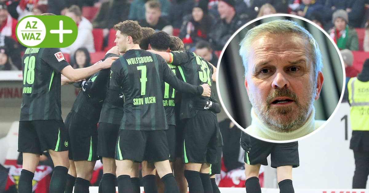 Wie meinen Sie das, Herr Hamann?