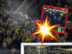 borussia-dortmund-siebert