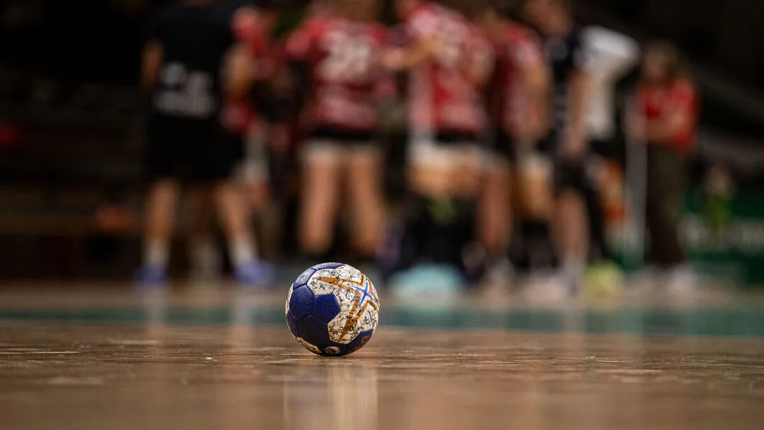 BSV Sachsen beantragt Lizenz für 1. Bundesliga –