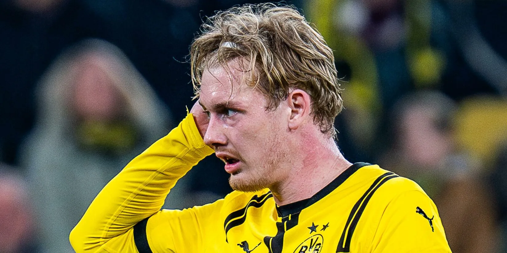 BVB steckt im Dilemma: Brandt-Abschied im Sommer denkbar