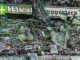 Der VfL Wolfsburg darf gegen St. Pauli auf eine