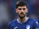 Hoffenheim-Ende? Florian Grillitsch muss sich zügeln