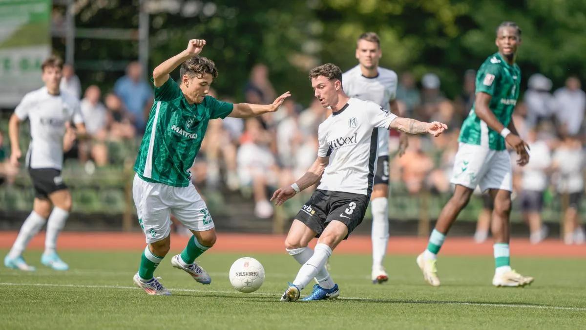 SV Meppen empfängt SV Werder Bremen II: Der Gegnercheck