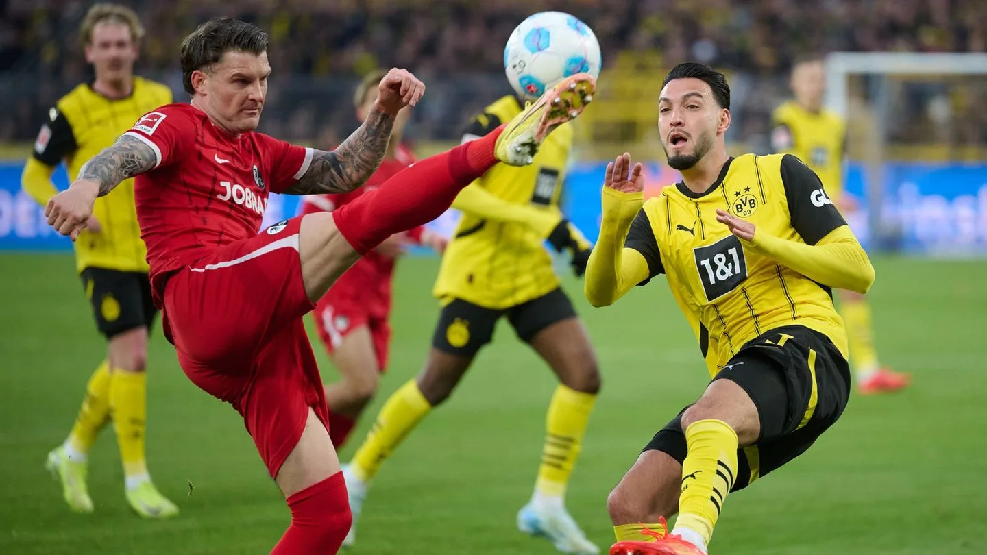 Fußball-Bundesliga: Leiden? Leidenschaft! Freiburgs