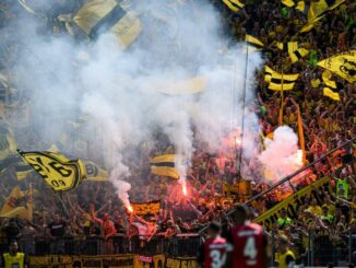 DFB belegt Borussia Dortmund mit Geldstrafe von 193.900