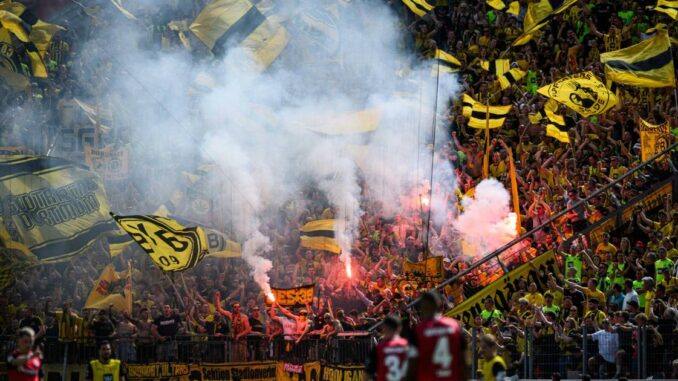 DFB belegt Borussia Dortmund mit Geldstrafe von 193.900