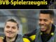 BVB-Spielerzeugnis Nmecha macht Hoffnung, Sabitzer mit