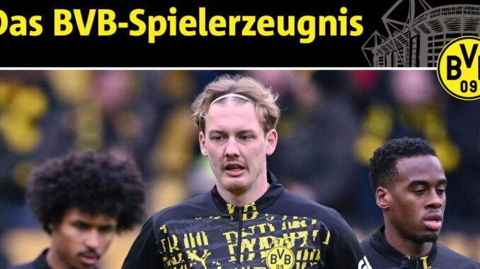 BVB-Zeugnis: Rätselhafte Brandt-Saison, Chukwuemeka-Leihe BVB-Zeugnis: Rätselhafte Brandt-Saison, Chukwuemeka-Leihe