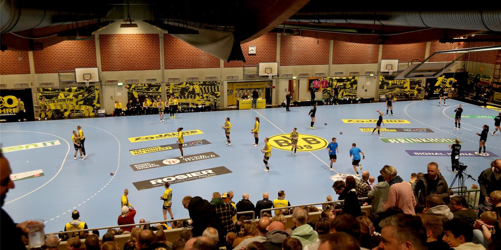 Lösung für Hallen-Problematik des BVB in Sicht: Kosten im