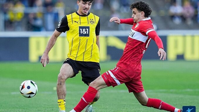 Der BVB-Abstieg verändert Regionalliga West Der BVB-Abstieg verändert Regionalliga West
