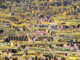 Borussia Dortmund muss fast 200.000 Euro zahlen – MSPW –
