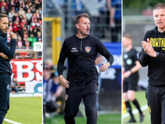 Was für und und was gegen die Teams spricht –