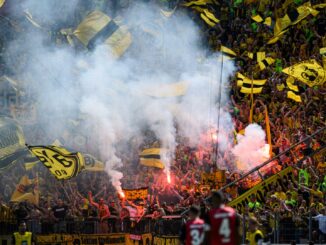 DFB belegt Borussia Dortmund mit Geldstrafe von 193.900