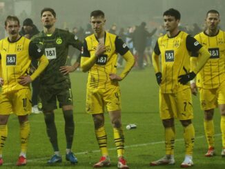 Dortmund hat kein Trainerproblem, sondern ein
