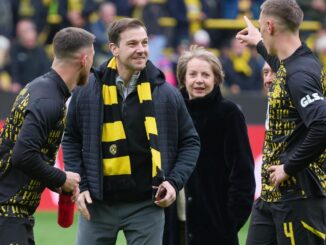 Tischtennis: Timo Boll erwägt Praktikum bei Borussia