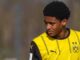 Fast unbemerkt: Neuer Nationalspieler beim BVB