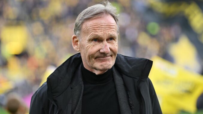 BVB: Verlängerung mit Puma? Spektakulärer