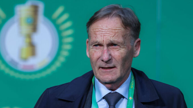 BVB-Boss benennt "die Untertreibung des Jahres" BVB-Boss benennt "die Untertreibung des Jahres"