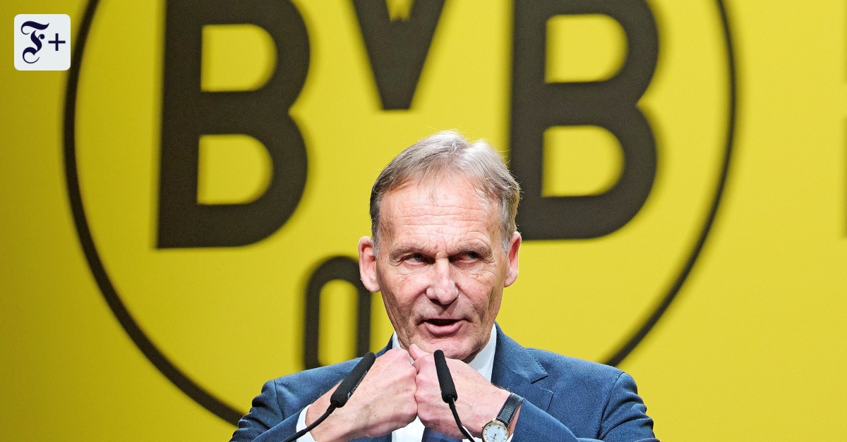 Machtkampf beim BVB: Ein Verein in Aufruhr