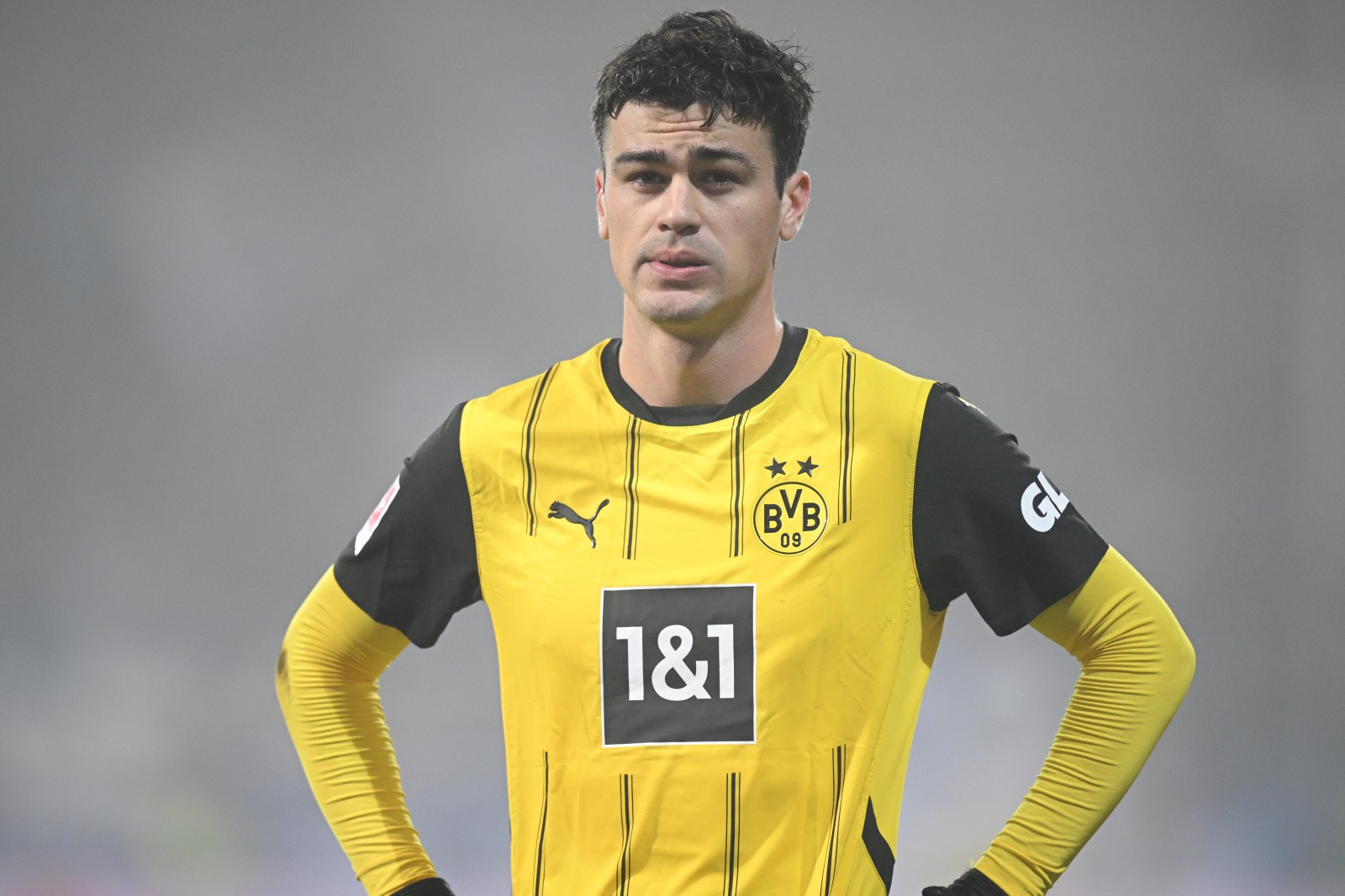 BVB erreicht überhaupt nicht erfreuliches Update zu