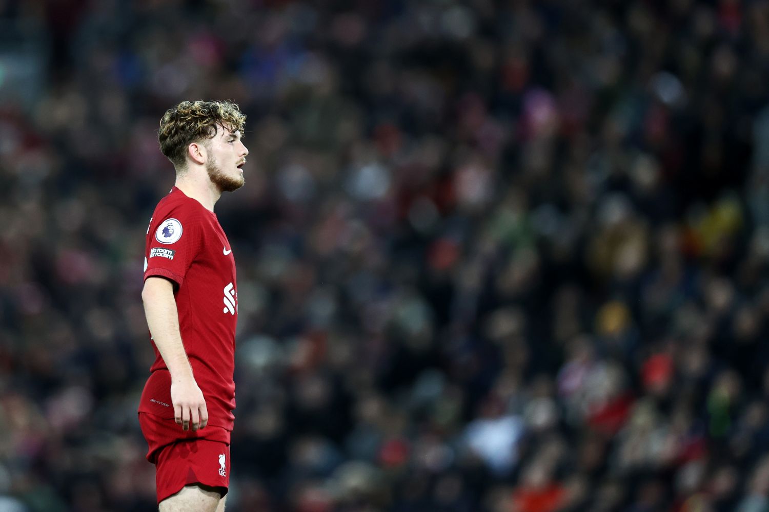Neue Gerüchte um Harvey Elliott