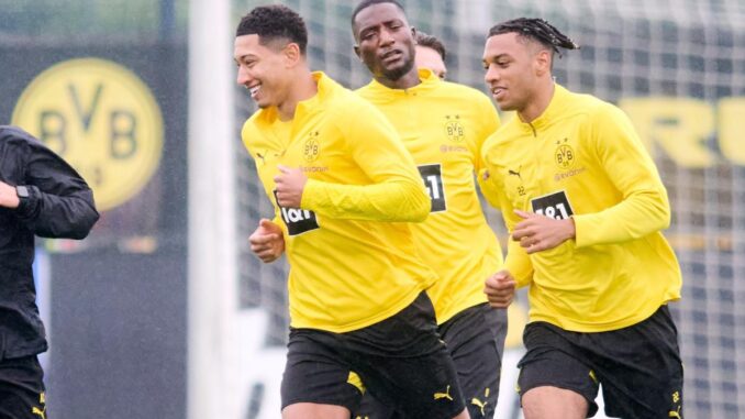 Mamelodi Sundowns - BVB live im Free-TV und Stream: Mamelodi Sundowns - BVB live im Free-TV und Stream: