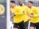 Mamelodi Sundowns - BVB live im Free-TV und Stream: