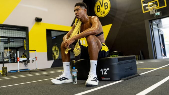 BVB: Neue Rolle für Jobe Bellingham | Sport BVB: Neue Rolle für Jobe Bellingham | Sport