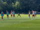 1. FC Köln: Kwasniok weckt plötzlich Baumgart-Erinnerungen