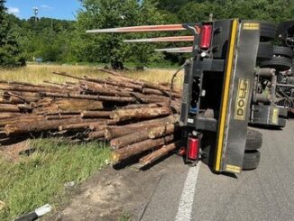 Blog: Nachrichten aus dem Westen der Pfalz