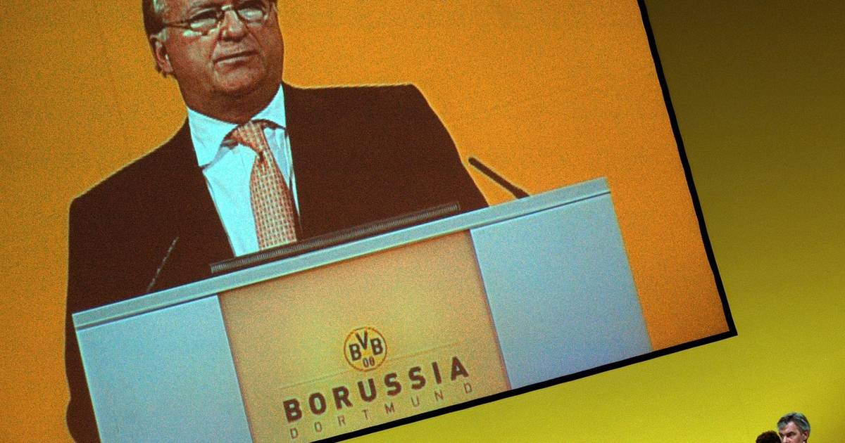 Ex-BVB-Chef Niebaum schreibt Politthriller: “Neue