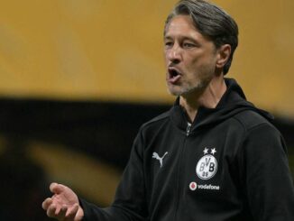 Dadurch würde der BVB ein großes Risiko eingehen: Niko