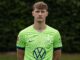 Transfer: Darmstadt holt früheren Wolfsburger Bialek
