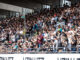 Die Faninfos vor Darmstadt – SSV Ulm 1846 Fußball