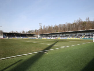 Fanhinweise zum Hoffenheim-Testspiel – SV Darmstadt 1898