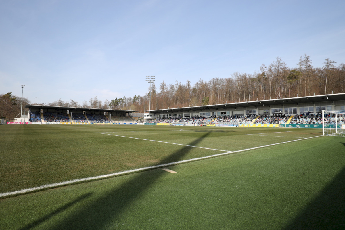 Fanhinweise zum Hoffenheim-Testspiel – SV Darmstadt 1898