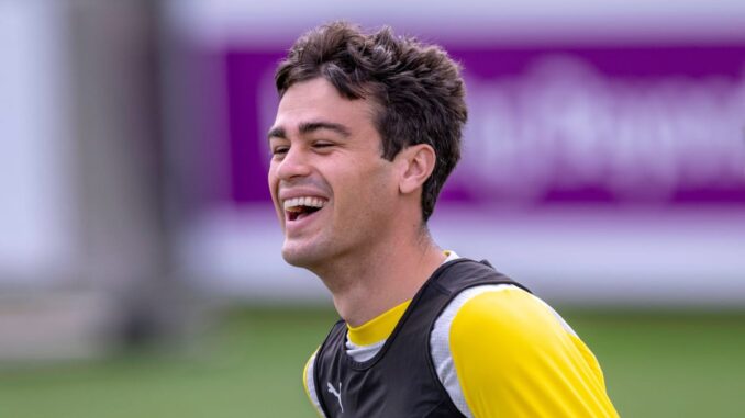 BVB: Ryerson und Reyna laufen, ein Quartett fehlt komplett BVB: Ryerson und Reyna laufen, ein Quartett fehlt komplett