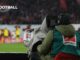 TV-Gelder in der Buli: Was kassieren Bayern & BVB? Wo