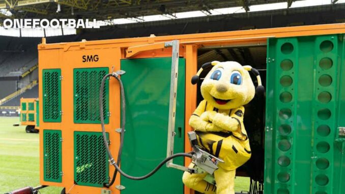 Ein neuer Rasen für den SIGNAL IDUNA PARK Ein neuer Rasen für den SIGNAL IDUNA PARK