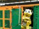 Ein neuer Rasen für den SIGNAL IDUNA PARK