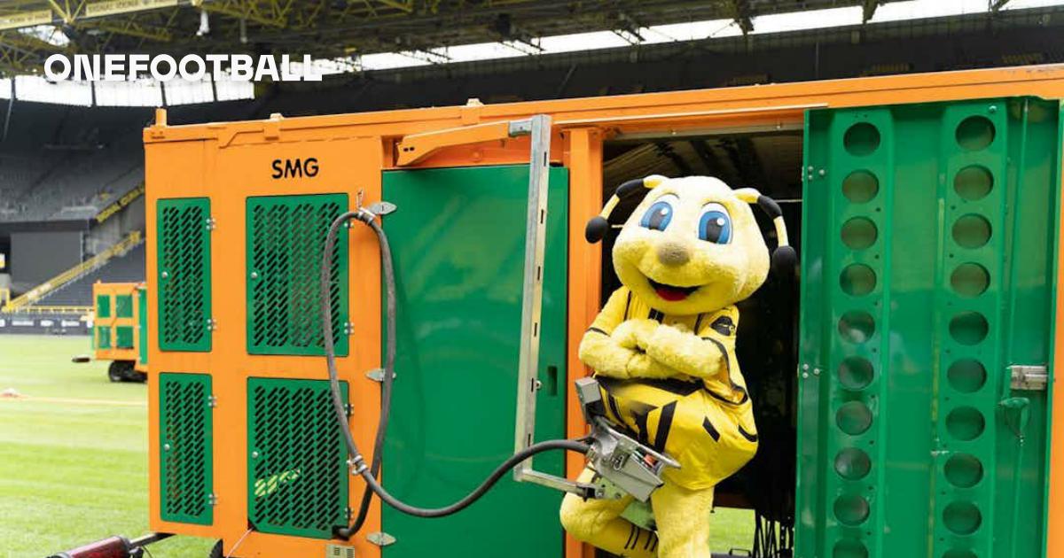Ein neuer Rasen für den SIGNAL IDUNA PARK