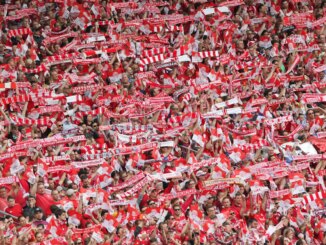 Fußball - OFC mit zweitem Geschäftsführer - Neuzugang aus