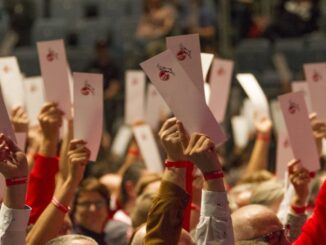 Vorstandswahlen beim 1. FC Köln: Bei so vielen
