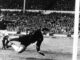 Die Dortmunder Torwart-Legende und ein Tor, das keines war