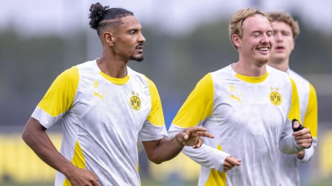 neue BVB-Rückennummer für Sebastien Haller neue BVB-Rückennummer für Sebastien Haller