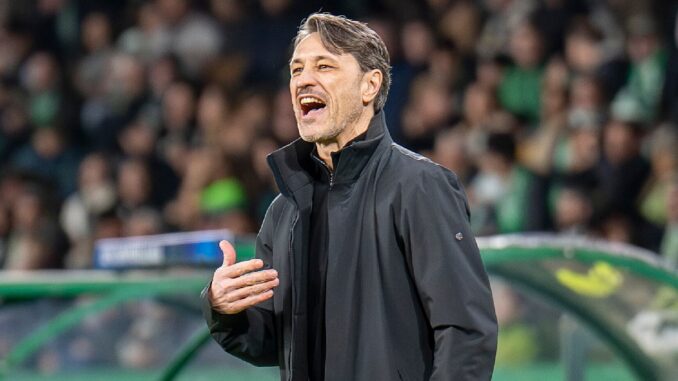 BVB: 5 neue Mitarbeiter für Kovač | Sport