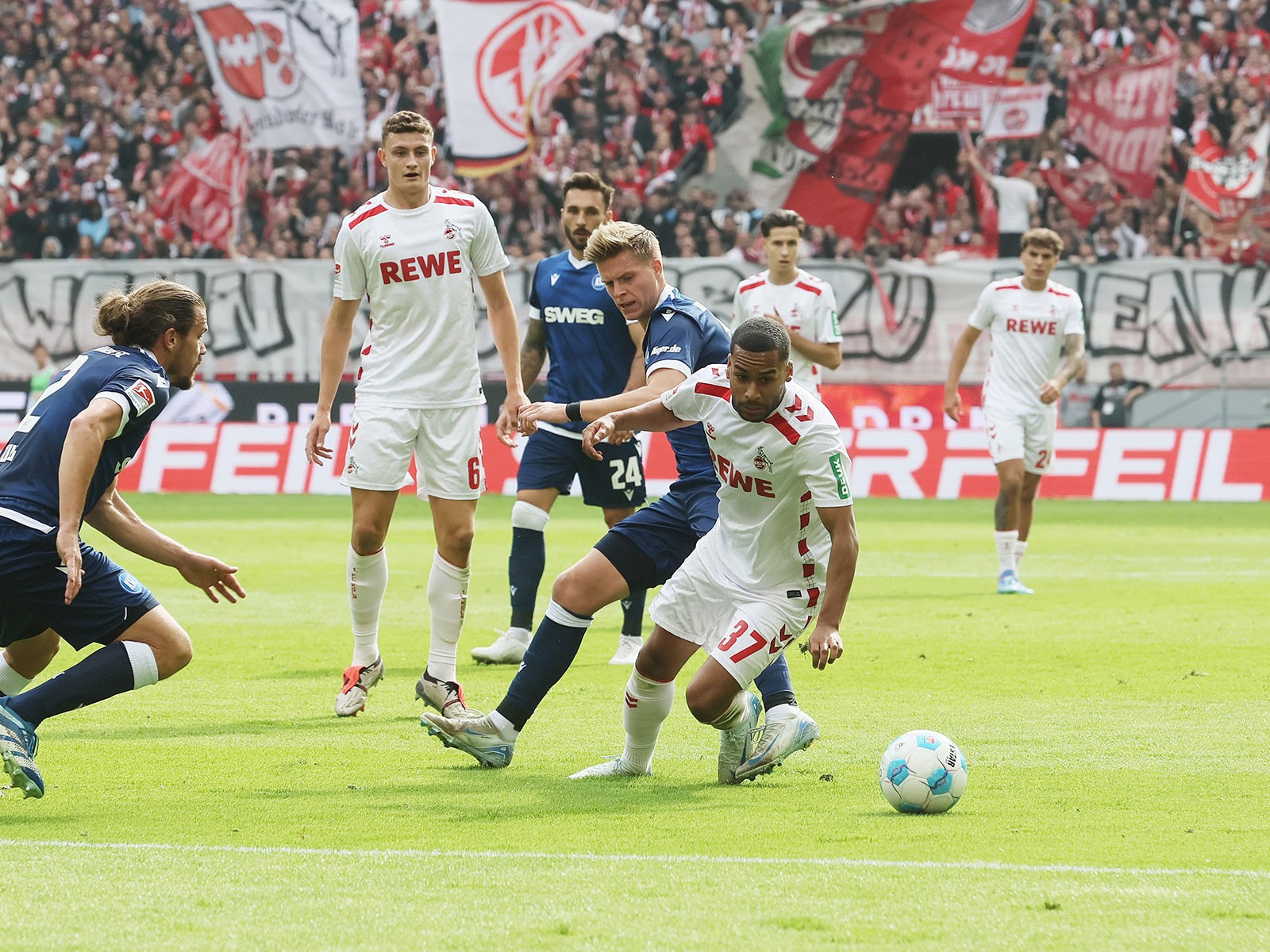 Das erwartet den 1. FC Köln im Heimspiel gegen Darmstadt