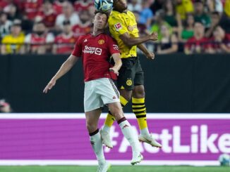 Baden-Württemberg: SSV Ulm holt Stürmer Besong vom BVB II