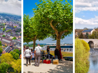 Bildergalerie: Lilien-Neuzugänge im Fokus: Bilder aus dem
